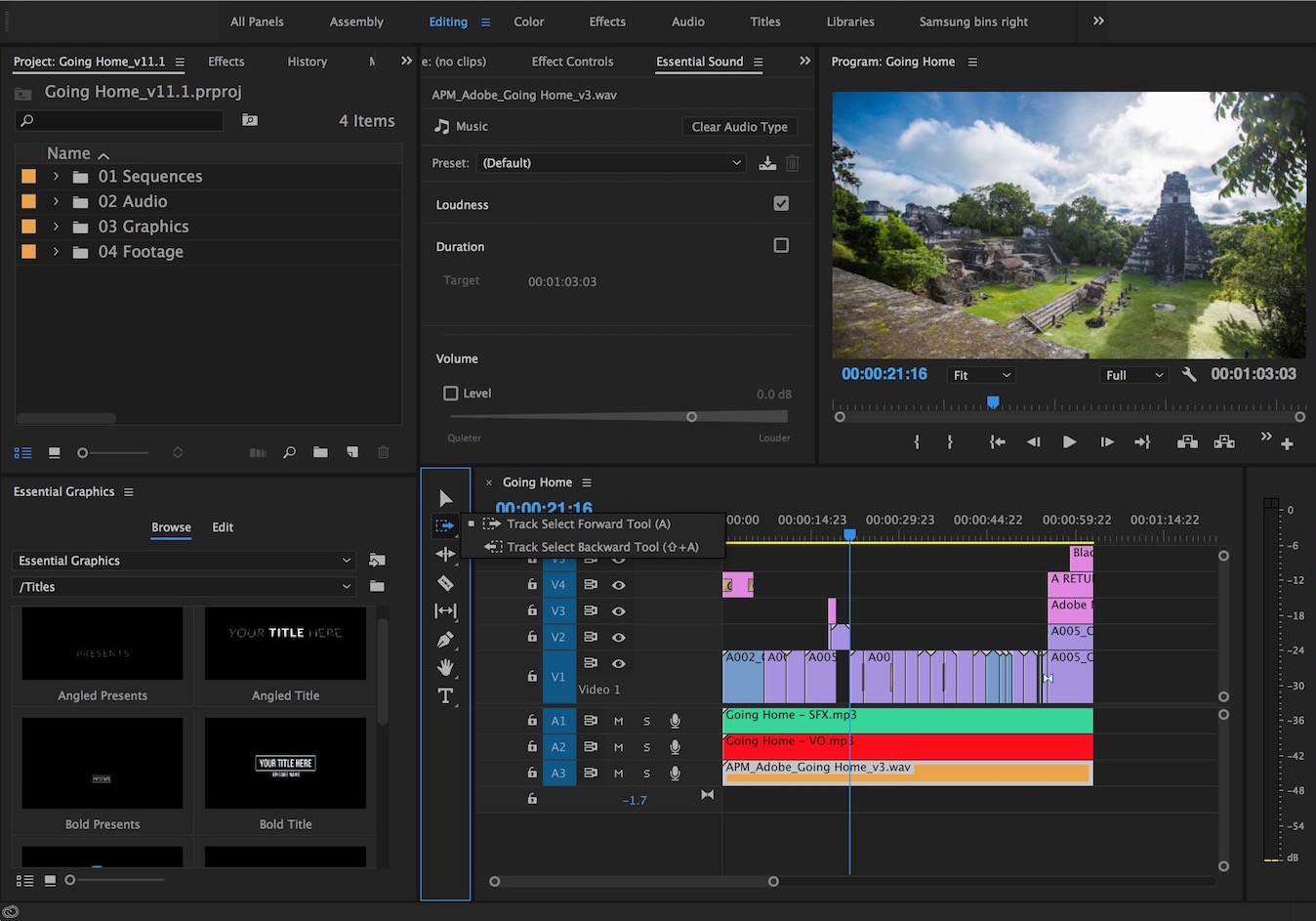 معالجة برنامج adobe premiere للبيانات